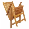 Acacia Wood Folding Outdoor Patio Chairs