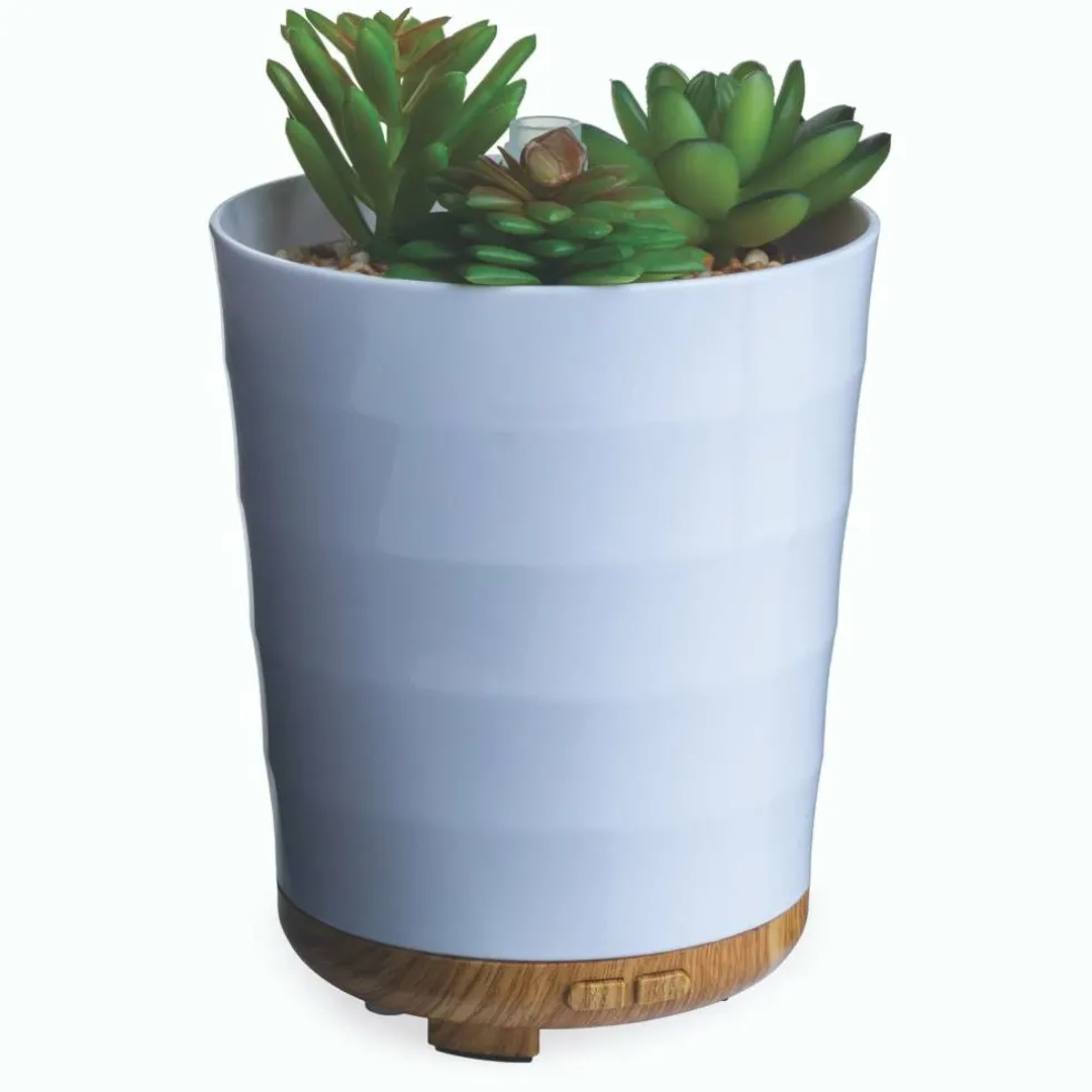 Airomé 100mL Potted Succulent Medium Ultra Sonic Diffuser