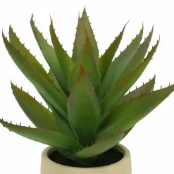 12" Aloe Vera in Ceramic Pot by Ashland®