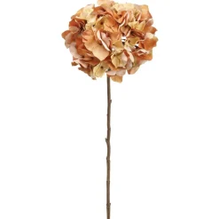 Amber Hydrangea Stem