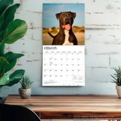 American Pit Bull Terriers | 2027 12 x 24 Inch (Hanging) Monthly Square Wall Calendar | Plastic-Free
