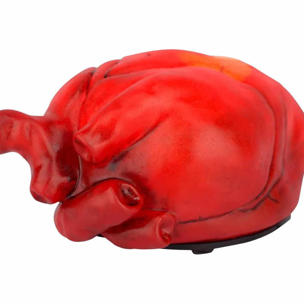 Animated Beating Heart by Ashland®
