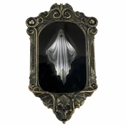 14" Animated Disappearing Ghost Frame by Ashland®