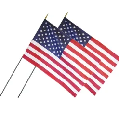 Annin & Company 24" x 36" U.S. Classroom Flag with Staff, 2ct.