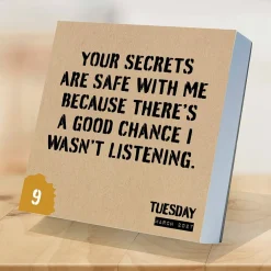 2027 Anti Affirmations/Daily Sarcasm Daily Desktop Calendar