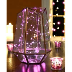 Apothecary & Company™ Decorative String Lights, Pink