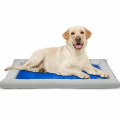 Arf Pets Self Dog Cooling Mat, Solid Gel Based Pet Cooling Mat with Foam Based Bolster Bed