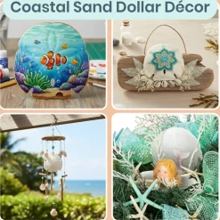 Arrow Head Sand Dollars | Real Arrowhead Sand Dollars 4"- 5" | Set of 3 | Sand Dollar Shells | Seashell Wedding | Sand Dollars for Crafts
