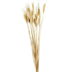 Ashland® Natural Wheat Bunch