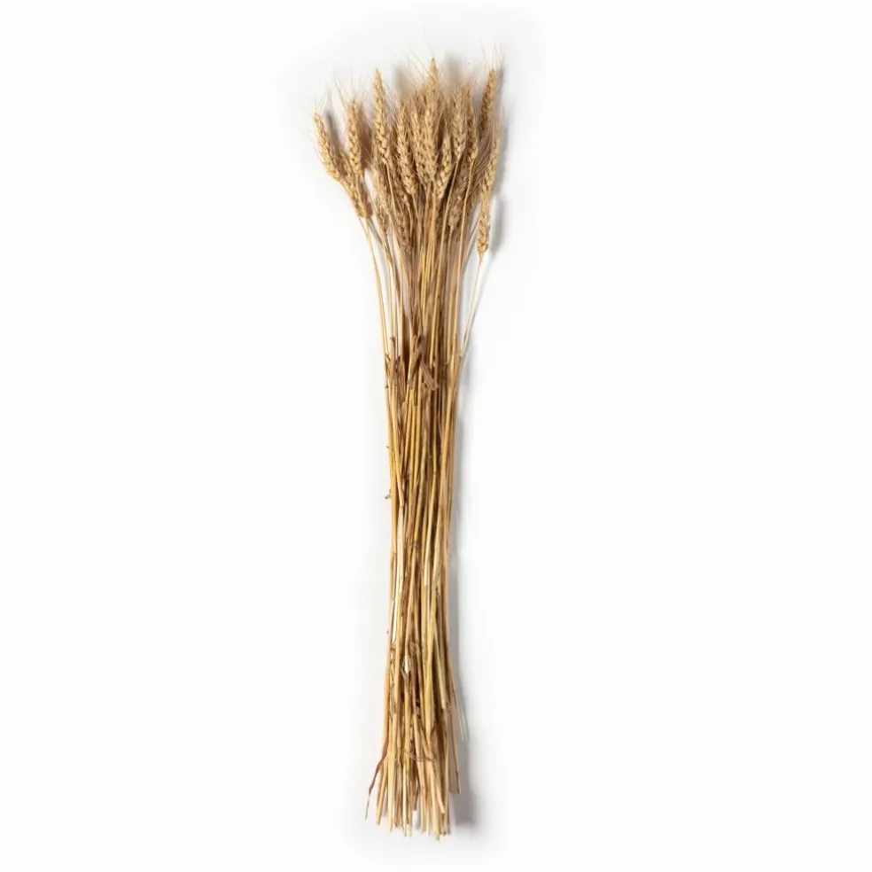 Ashland® Natural Wheat Bunch