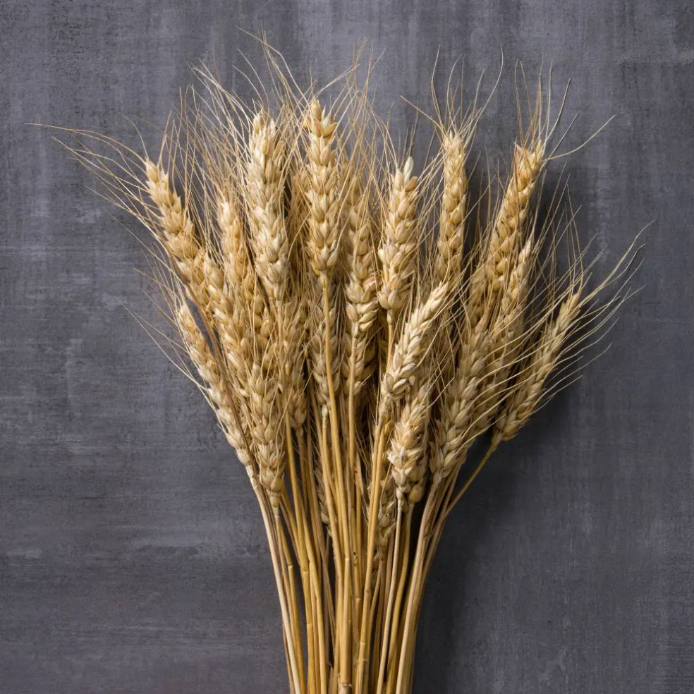 Ashland® Natural Wheat Bunch