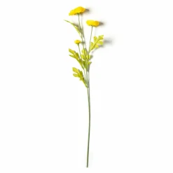 Ashland® Ranunculus Spray