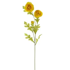 Ashland® Ranunculus Spray