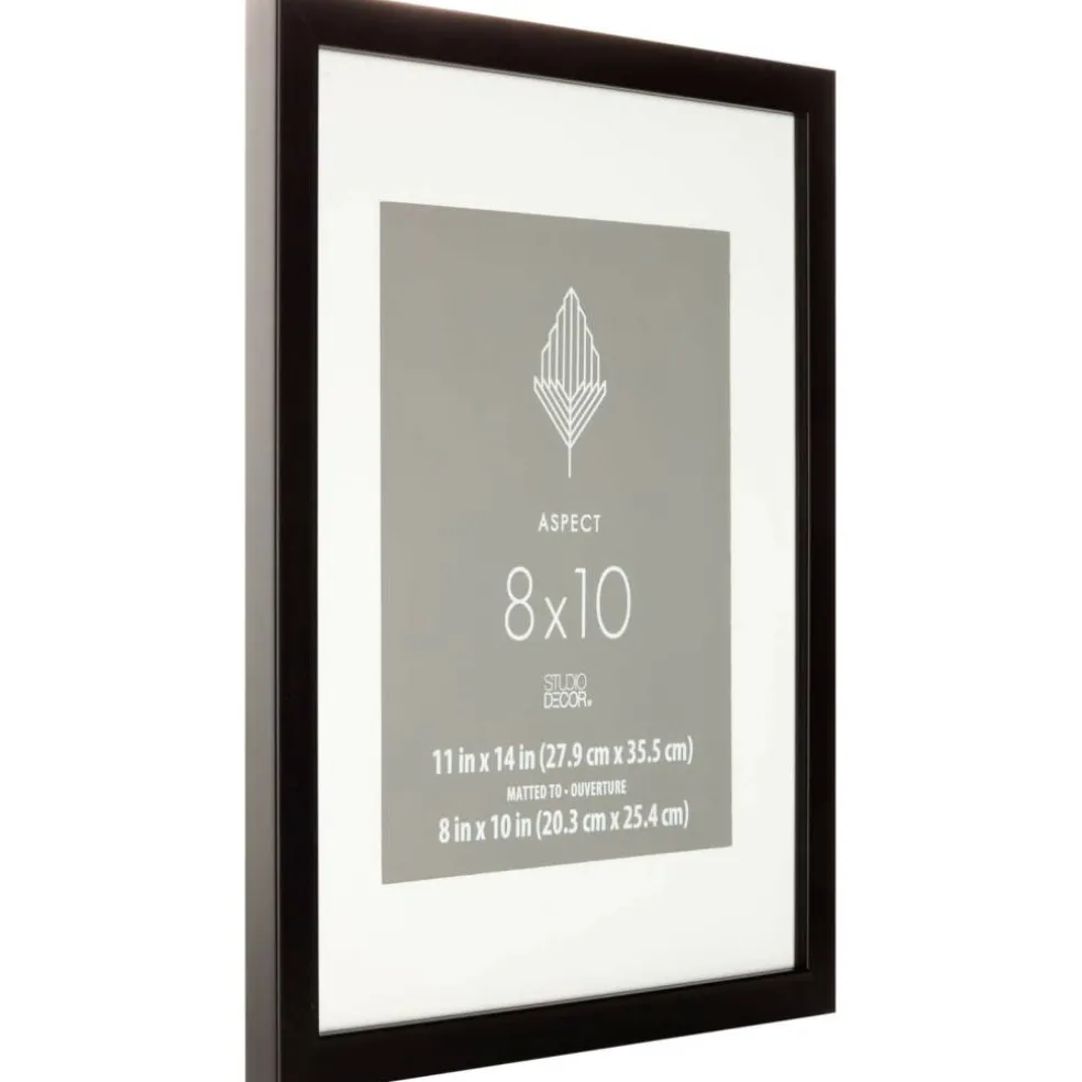 Aspect Black Frame with Mat by Studio Décor®
