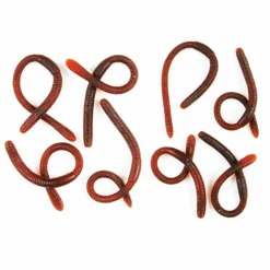 Assorted Bag of Bugs by Ashland®, 1pc.