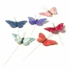 Assorted Bright Butterfly Pack by Ashland®