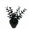 Assorted Mini Black Potted Succulent, 1pc. by Ashland®