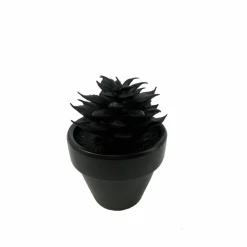 Assorted Mini Black Potted Succulent, 1pc. by Ashland®