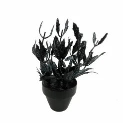 Assorted Mini Black Potted Succulent, 1pc. by Ashland®