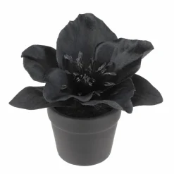 Assorted Mini Black & Wine Premade Floral Accent, 1pc. by Ashland®