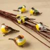 Assorted Mushroom Birds by Ashland®