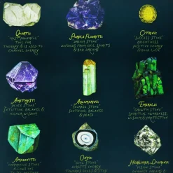 Assorted 11
