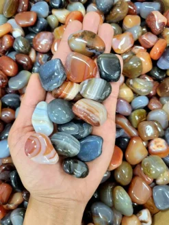 Assorted Tumbled Agate Stones - Bulk Tumbled Crystals