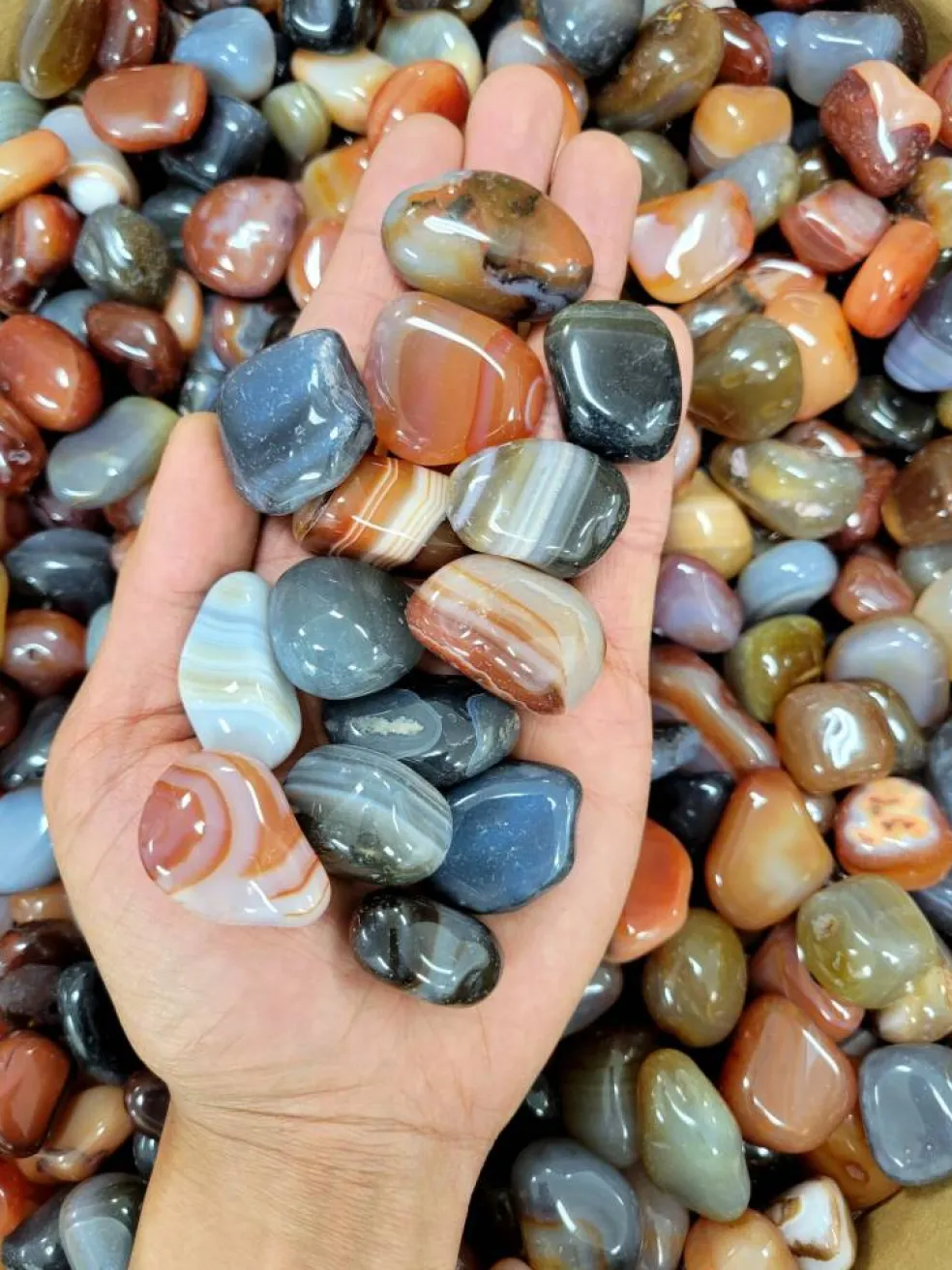 Assorted Tumbled Agate Stones - Bulk Tumbled Crystals