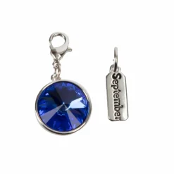 Austrian Crystal Birth Month Charm Set by Bead Landing™