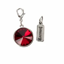 Austrian Crystal Birth Month Charm Set by Bead Landing™