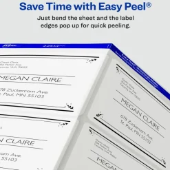 Avery Printable Shipping Labels with Sure Feed, 2" x 4", Matte Clear, 100 Blank Mailing Labels (15663)