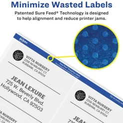 Avery Printable Shipping Labels with Sure Feed, 3-1/3