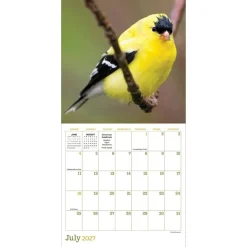 2027 Backyard Birds Mini Calendar