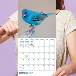 2027 Backyard Birds Mini Calendar