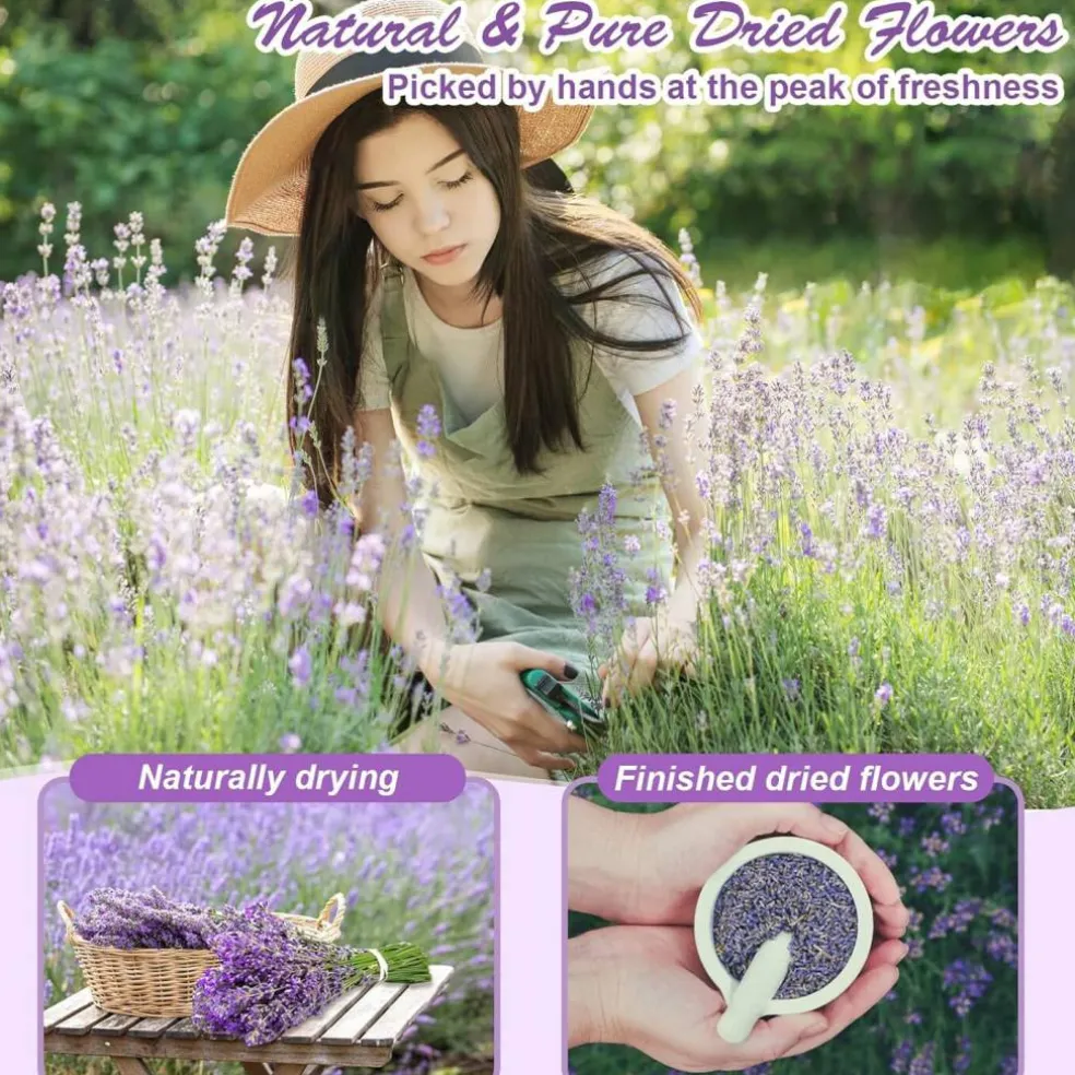 50 Bags Dried Flowers