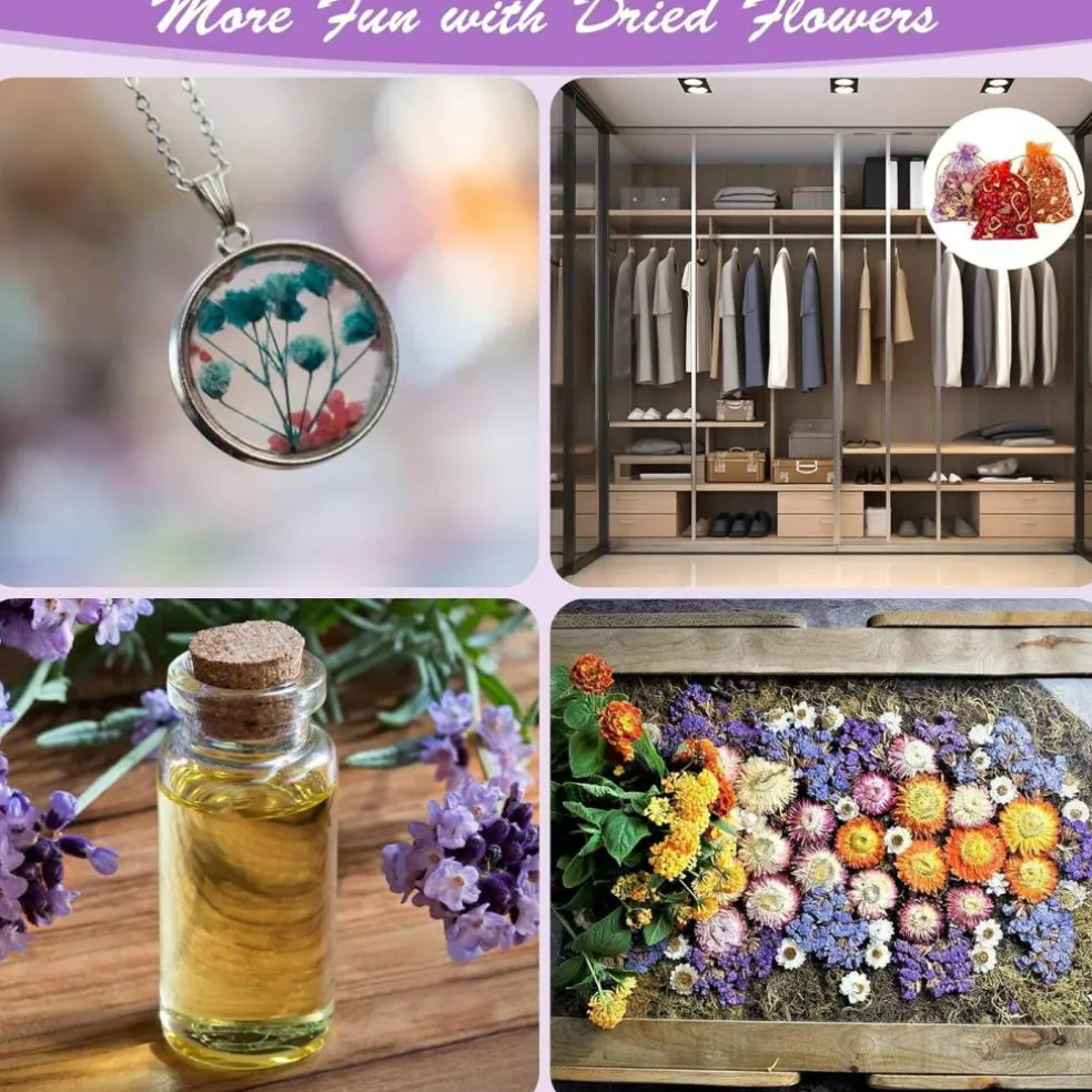 50 Bags Dried Flowers