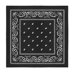 Balec Bulk Wholesale 60 Pack Paisley Polyester Bandanas Unisex
