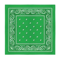 Balec Bulk Wholesale 60 Pack Paisley Polyester Bandanas Unisex