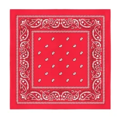 Balec Bulk Wholesale 60 Pack Paisley Polyester Bandanas Unisex