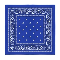 Balec Bulk Wholesale 60 Pack Paisley Polyester Bandanas Unisex