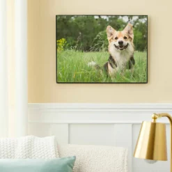 Basics Black Frame by Studio Décor®