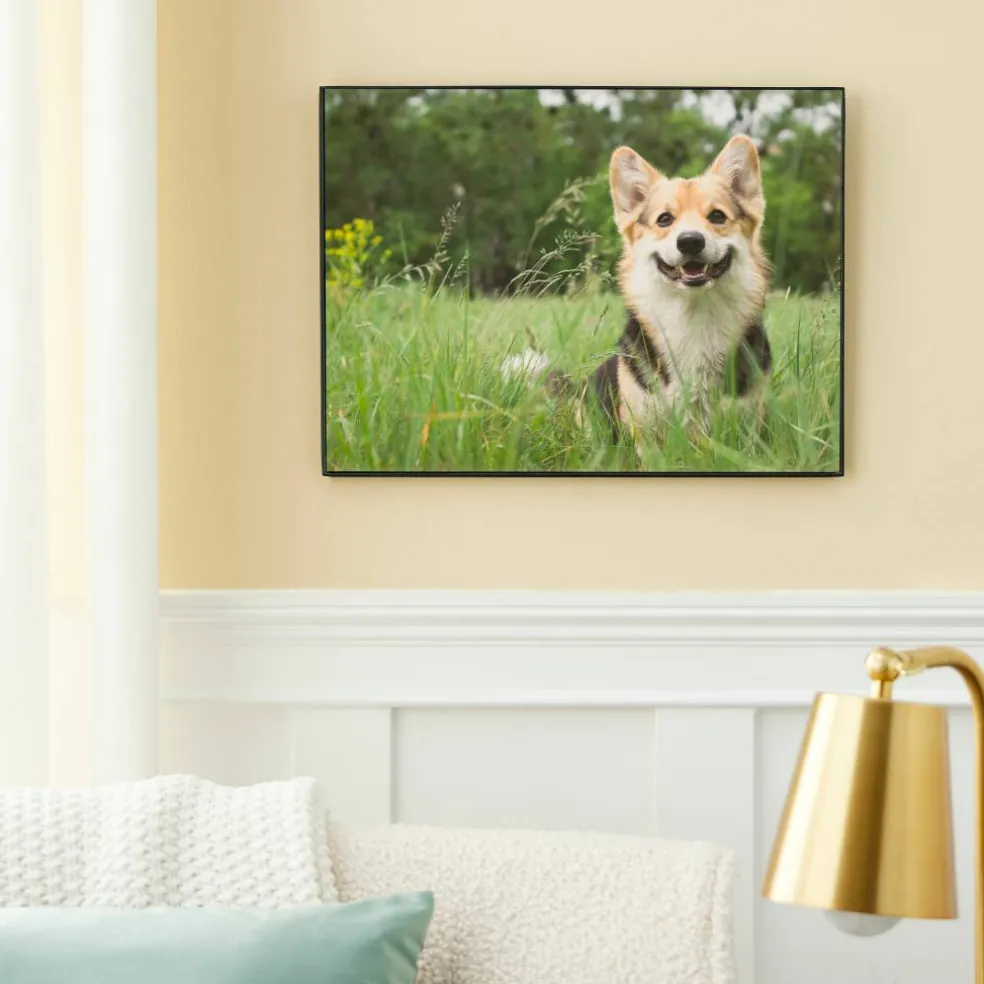 Basics Black Frame by Studio Décor®