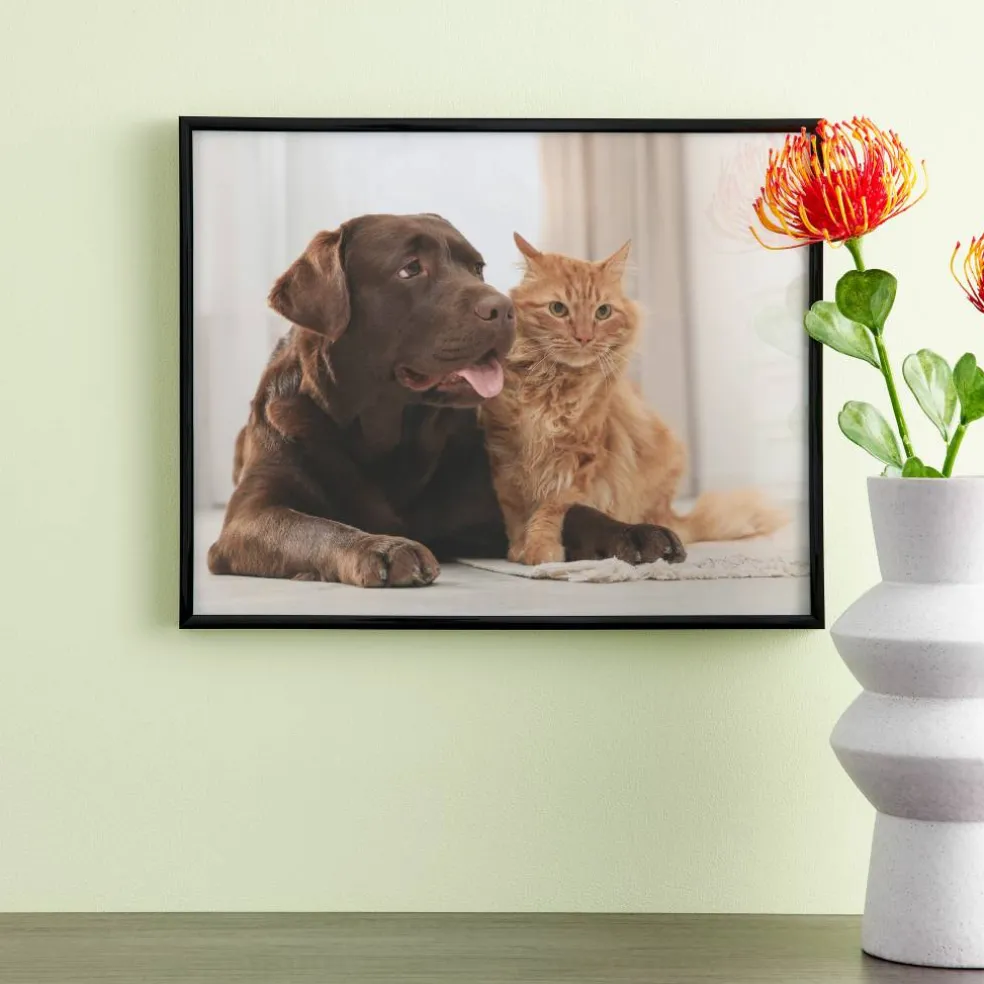 Basics Black Multipurpose Frame by Studio Décor®