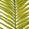 44" Basil Round Tip Palm Leaf 6/Bag