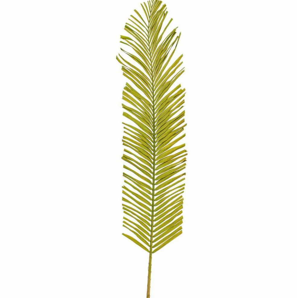 44" Basil Round Tip Palm Leaf 6/Bag