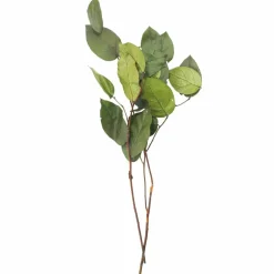 24" Basil Salal Foliage by Ashland®