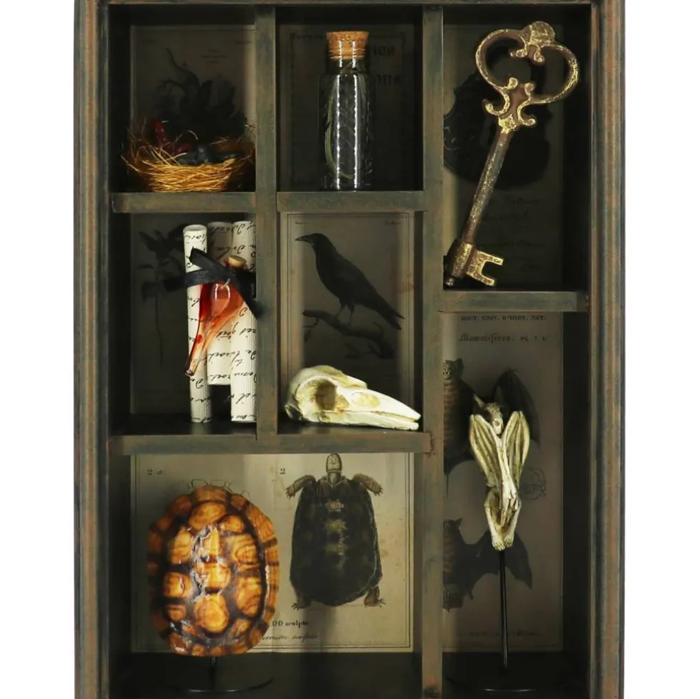 17.75" Bat Skull Curiosities Cabinet Tabletop Décor by Ashland®