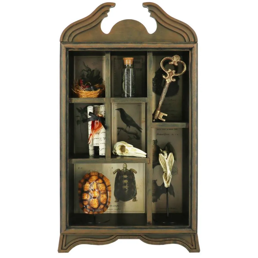17.75" Bat Skull Curiosities Cabinet Tabletop Décor by Ashland®