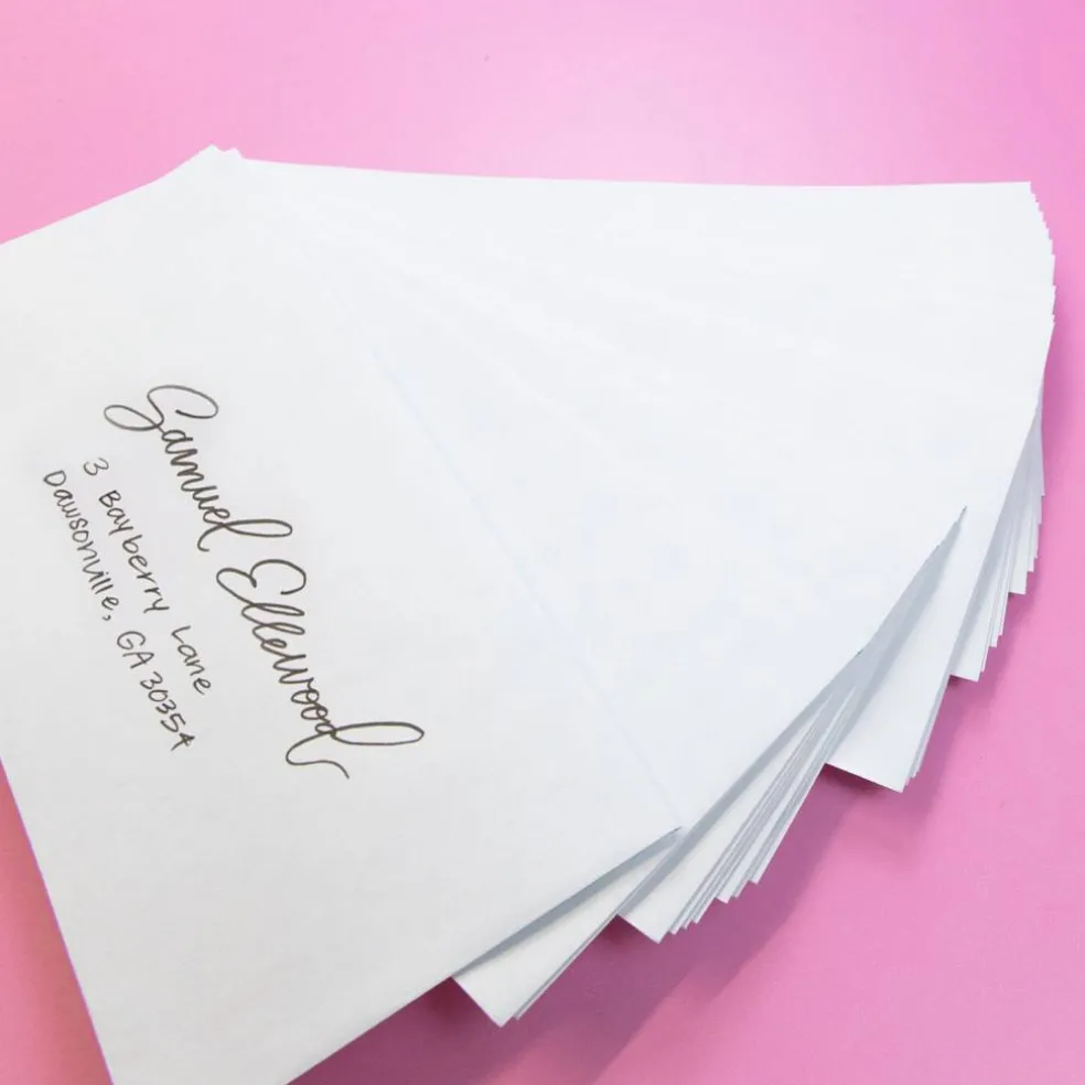 BAZIC #6 3/4 Security White Envelopes, Self-Seal, 30 Count