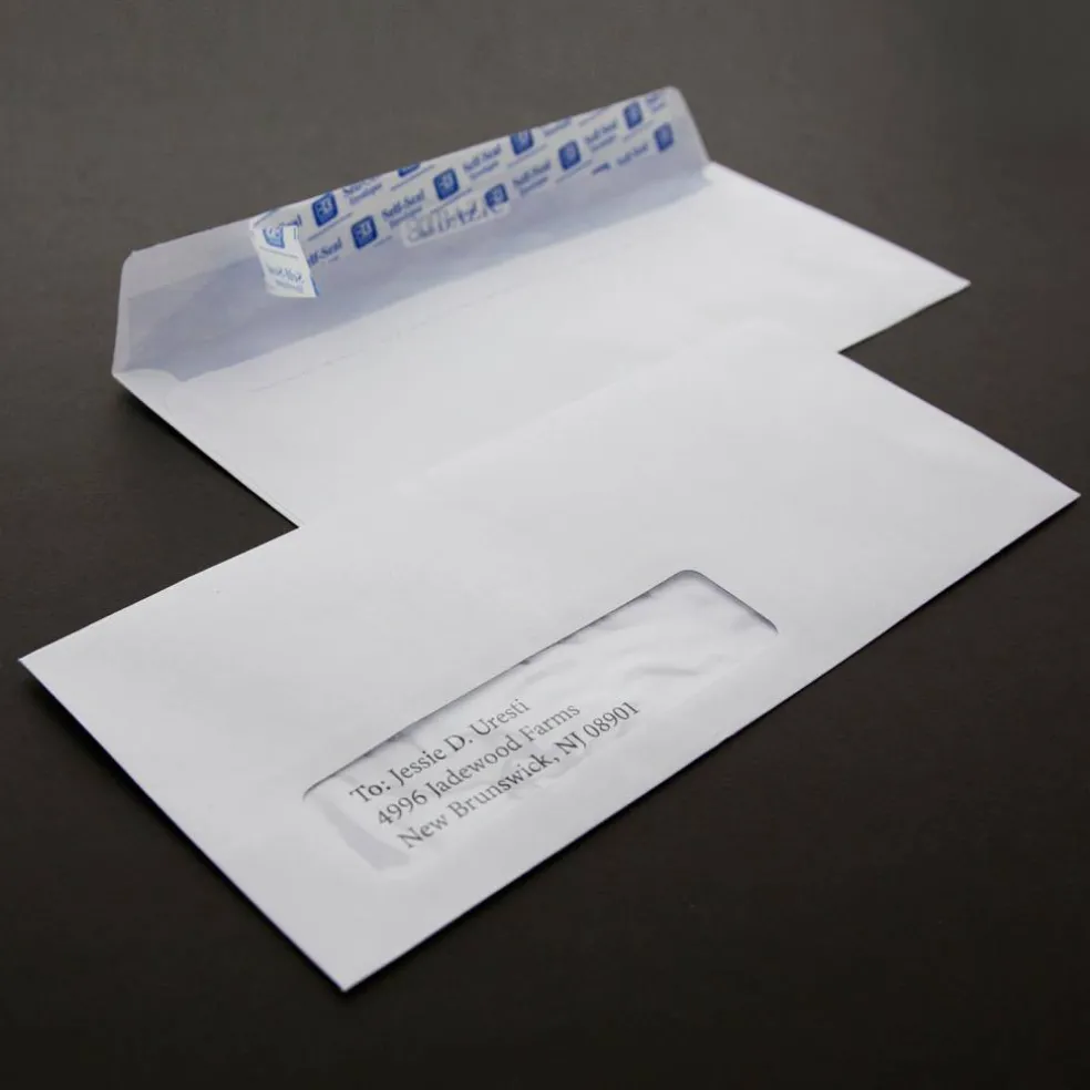 BAZIC #10 Security White Envelopes, Self-Seal, 500 Count